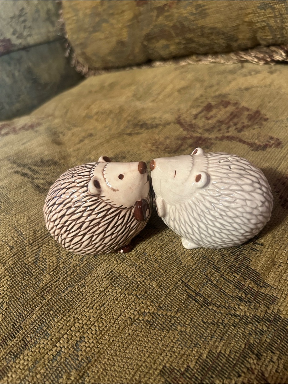 Lovey Hedgehogs Kissing Magnetic Salt and Pepper Shakers Set